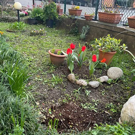 Apartament Casa Gabriele